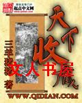 天下收藏封面