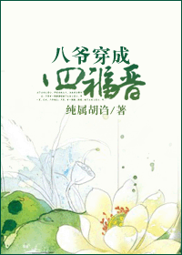 八爷穿成四福晋 八爷穿成四福晋