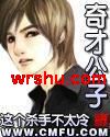 奇才公子封面