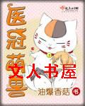 医冠萌兽封面