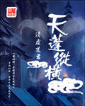 天蓬纵横封面