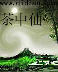 茶中仙封面