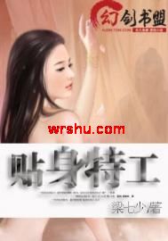 贴身特工