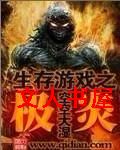 生存游戏之极炎 生存游戏之极炎