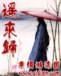 遥来归 遥来归