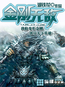 金刚无敌封面