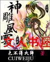 神雕风云封面