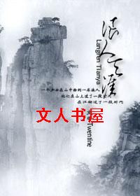 浪人天涯封面