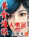 黄金法眼封面
