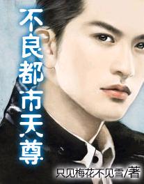 不良都市天尊封面