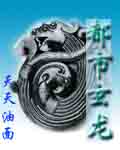 都市玄龙封面