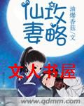 仙妻攻略 仙妻攻略