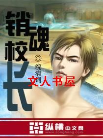 销魂校长封面
