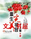 重生完美福晋 重生完美福晋