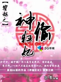 神偷狂妃 神偷狂妃