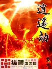 逍遥劫封面