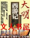 大明西游记 大明西游记