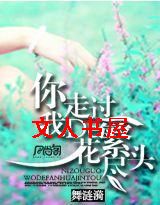 你走过,我的繁花尽头封面