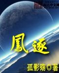 凤逐 凤逐