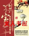 符宝封面