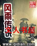 风雨传说封面
