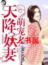 萌宠之天降妖妻封面