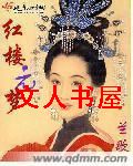 红楼元梦 红楼元梦