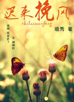 迟来挽风封面