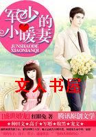 盛世婚宠:军少的小暖妻封面