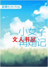 小女子再婚记封面
