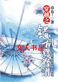 穿越之错乱鸳鸯谱封面