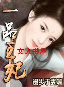 傻子王爷:一品王妃 傻子王爷:一品王妃