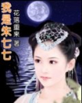 武林外史同人之我是朱七七封面