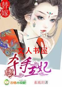 替嫁:杀手王妃 替嫁:杀手王妃