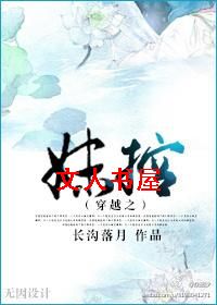 穿越之妹控封面