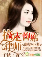 傲娇小妻,搞定首席律师封面
