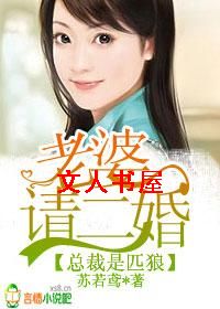 总裁是匹狼,老婆请二婚封面