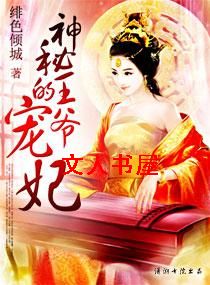 神秘王爷的宠妃