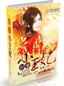 妖孽小王妃