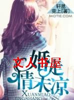 婚走情未凉封面