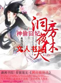 神偷囧妃,洞房夜休夫 神偷囧妃,洞房夜休夫