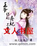 王爷你的弃妃不要你 王爷你的弃妃不要你
