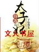 待选太子妃 待选太子妃
