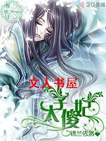 太子傻妃 太子傻妃