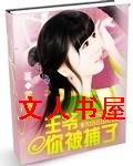 王爷,你被捕了 王爷,你被捕了