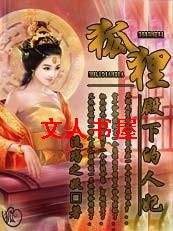 狐狸殿下的人妃 狐狸殿下的人妃