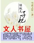 倾城太子妃 倾城太子妃