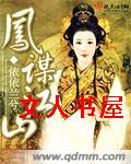 凤谋江山封面