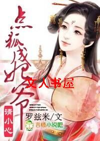 点狐成妃,爷请小心封面