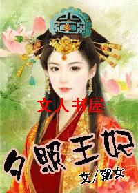 夕照王妃封面